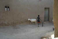Djenne, Mali (110).jpg (54681 bytes)