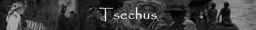 Tsechus